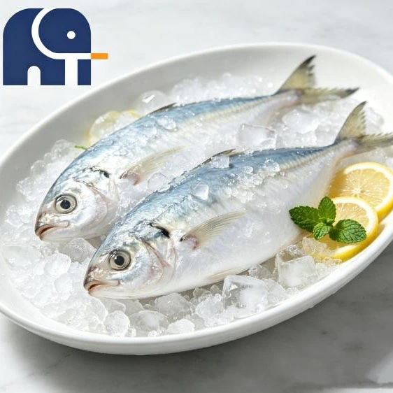 Färsk bearbetad indisk makrill