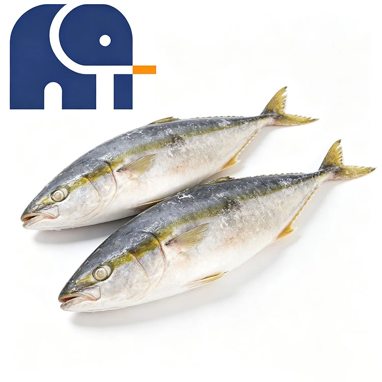 Fryst Yellowtail Hel Rund