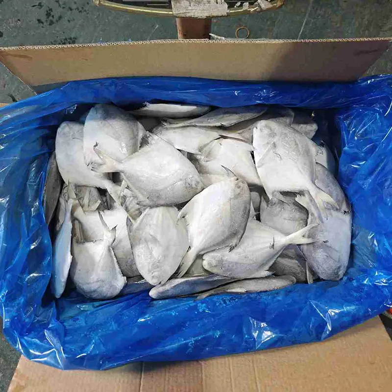 Premium kartong Vit Pomfret Hel rund