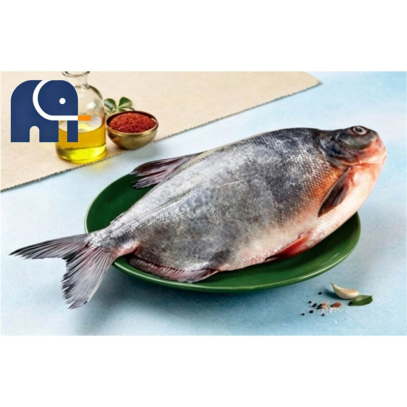 Premium Frozen Red Pomfret Hel rund