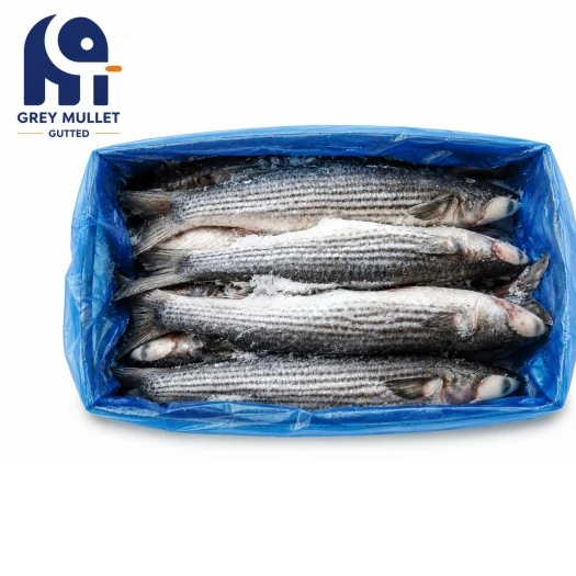 Raffinerad bearbetning Frozen Grey Mullet Gutted