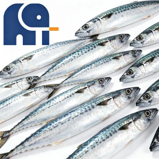 Havsfryst Stillahavsmakrill