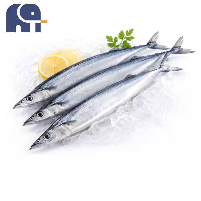 Winter Frozen Pacific Saury Hela Runda